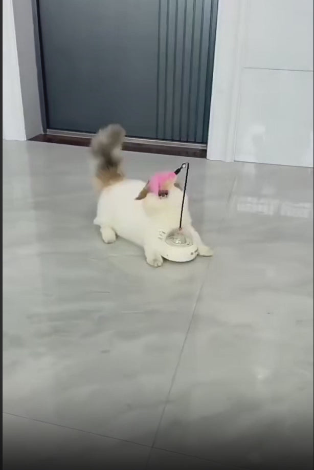 Mini Cat UFO- Interactive Smart Cat Toy